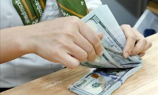 Tỷ giá hôm nay 24/11: USD, NDT đồng loạt tăng