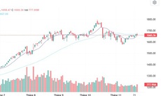 Xu hướng chứng khoán 26/11 'nín thở' chờ tín hiệu dòng tiền