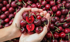 4 loại trái cây giàu vitamin C giúp đào thải axit uric