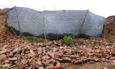 Thách thức bảo tồn di sản trước thiên tai từ vụ sập tường Hoàng thành Huế