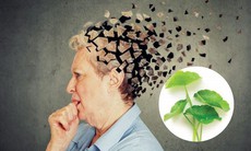 6 lợi ích sức khỏe của rau má