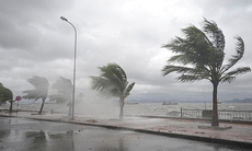 Bão số 15 sẽ hướng vào khu vực nào trên đất liền?