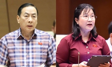 ĐBQH nêu 4 lý do cấm đầu tư kinh doanh thuốc lá điện tử, thuốc lá nung nóng