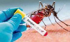 Sốt xuất huyết Dengue là nguy cơ với mọi lứa tuổi chứ không riêng trẻ em