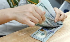 Tỷ giá hôm nay 3/11: Đồng USD và NDT cùng giảm giá