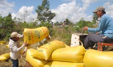 Đồng Tháp: Nhiều giải pháp hiệu quả để giảm nghèo bền vững