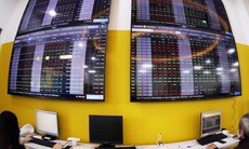 Chứng khoán 'xanh vỏ đỏ lòng', điểm tựa từ nhóm bất động sản đầu ngành