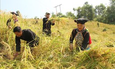 Những chính sách mới nổi bật có hiệu lực từ tháng 12/2025