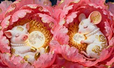 Tử vi tuần mới 12 con giáp từ 1- 7/12: Thân rắc rối, Dần công danh khởi phát