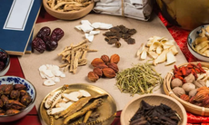 4 nhóm giải pháp then chốt thúc đẩy khai thác bền vững tài nguyên dược liệu tại Việt Nam