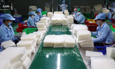 Chính phủ bãi bỏ toàn bộ hoặc một phần đối với 10 nghị định