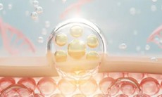 5 cách giúp cơ thể tự sản sinh collagen, làm chậm quá trình lão hóa da