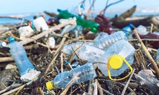 Giảm rác thải nhựa để bảo vệ sức khỏe cộng đồng