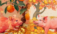 Tử vi 12 con giáp hôm nay 5/11: Tị tỏa sáng, Tý tràn ngập niềm vui