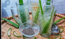 Cách dùng lô hội và hạt chia phục hồi tóc hư tổn