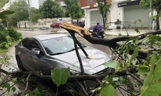 Chủ tịch UBND TPHCM chỉ đạo khẩn phòng, chống bão Kalmaegi