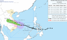 Bão số 13 đang di chuyển rất nhanh, tiến gần vùng biển Quy Nhơn