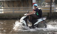 TPHCM ứng phó 'nguy cơ kép' bão Kalmaegi trùng đỉnh triều cường