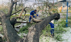 Quy Nhơn tan hoang sau bão số 13: Trụ đèn gãy đổ cả loạt, nhiều ngôi nhà tốc mái