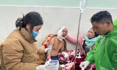 Trưởng thôn bị gấu rừng tấn công đã ổn định sức khoẻ