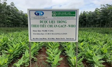 Hoàn thiện cơ chế kiểm soát khai thác và buôn bán dược liệu tự nhiên