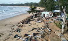 Mùa bão khốc liệt liên tiếp do đâu?