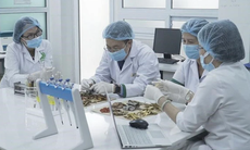 Y dược cổ truyền Việt Nam vươn tầm Thế giới: Từ di sản văn hóa đến giá trị khoa học toàn cầu