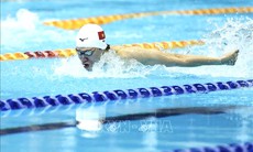 SEA Games 33 ngày 10/12: Bơi, đua thuyền, võ xuất trận