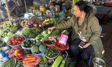 Giá rau xanh hạ nhiệt