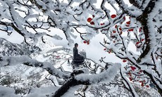 Miền Bắc khả năng có băng giá khi đón đợt không khí lạnh mạnh