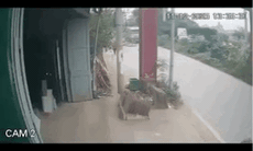 Vụ đẩy CSGT vào đầu xe tải đang chạy: Vì sao phải xem xét tội giết người?