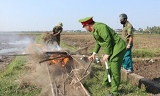 Truy quét hàng loạt vụ săn bắt, buôn bán động vật hoang dã