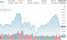 Xu hướng chứng khoán 16/12 chưa vội bắt đáy cổ phiếu