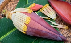 Hoa chuối có tác dụng gì?