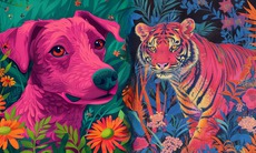 Tử vi 12 con giáp hôm nay 18/12: Mùi hăng hái, Tị tình cảm thăng hoa