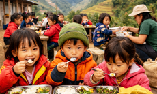 Quảng Ngãi rà soát các tổ chức, dự án thiện nguyện liên quan đến dự án 'Nuôi em'