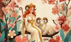 Tử vi 12 cung hoàng đạo hôm nay 19/12 - chi tiết tử vi 12 chòm sao ngày mới