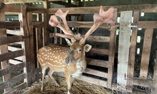 Hà Tĩnh đẩy mạnh công tác giảm nghèo bền vững