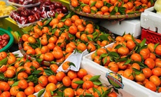 Tiểu thương 'tiết lộ' nguồn gốc thực sự của một loại cam đang bán tràn ngập chợ Việt