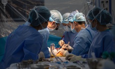 Nam sinh viên hiến gan cứu giảng viên thoát cửa tử vì suy gan cấp