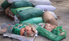 Bắt giữ hơn 2 tấn nội tạng động vật không rõ nguồn gốc đang trên đường đi tiêu thụ