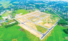 Đất vi phạm trước ngày 1/7/2014 có thể được xem xét cấp sổ đỏ?