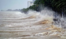 Các tỉnh từ Quảng Ninh đến An Giang triển khai ứng phó với gió mạnh trên biển