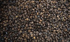 Thị trường nông sản: Lý do giá cà phê trên thế giới tăng vọt