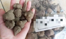 Nhập viện cấp cứu sau 1 giờ ăn củ ấu tàu