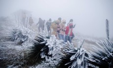 Miền Bắc chìm trong không khí lạnh, khả năng xuất hiện băng giá