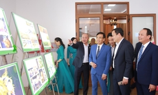 Nghệ An tổng kết, trao giải các hoạt động sáng tạo năm 2025: Lan tỏa khát vọng, bồi đắp bản sắc