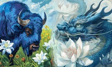 Tử vi 12 con giáp hôm nay 27/12: Thìn, Dậu biến động, Mùi nhiều điểm sáng