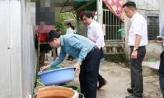 Bộ Y tế kiểm tra công tác phòng, chống sốt xuất huyết tại An Giang, Cà Mau