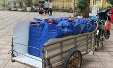 Giữa Hà Nội, dùng xe bò 'cải tiến' chở cơm cho học sinh bán trú